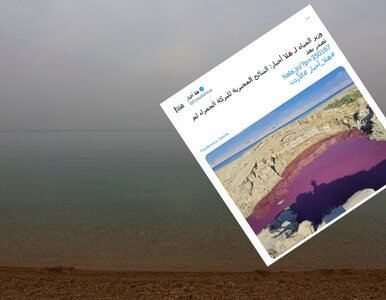 Miniatura: Woda w okolicy Morza Martwego zmieniła...