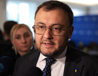 Miniatura: Ambasador Ukrainy o polskiej pomocy:...