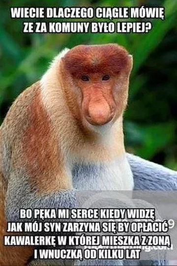 Smutny mem z nosaczem 
