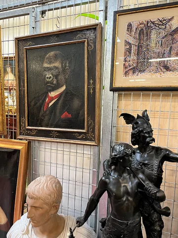 Z serii osobliwości: goryl w krawacie Antyki, bronisze, małpa, goryl