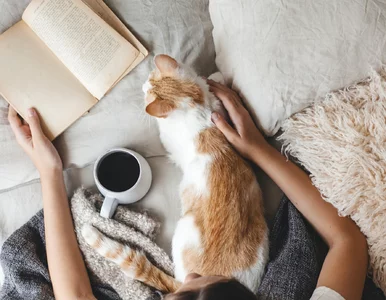 Miniatura: Trudny QUIZ ortograficzny. Odpadniesz już...