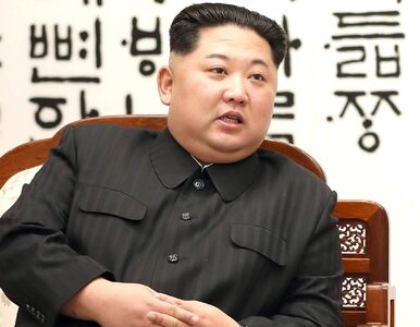 Miniatura: Korea Północna chwali się testem nowej...