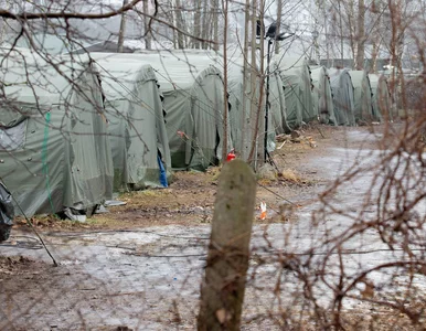 Miniatura: Granica Polska-Białoruś. Migranci...