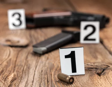 Miniatura: Policja zastrzeliła uchodźcę , który nożem...