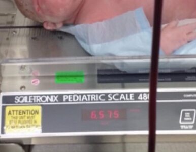 Miniatura: Gigantyczny noworodek w Bostonie. Ważył...