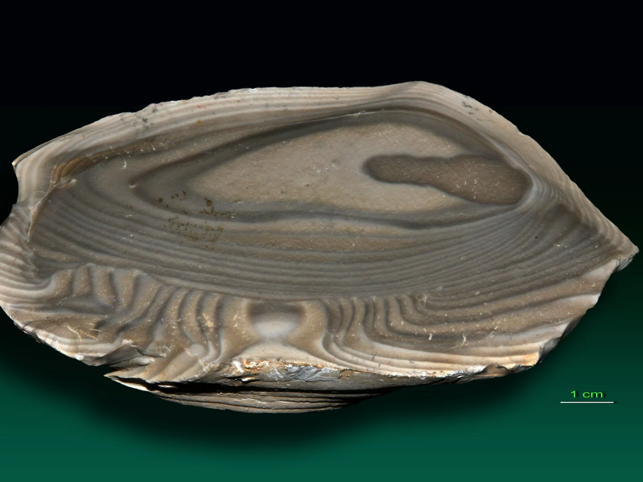 Ten surowiec występuje niemal wyłącznie w Polsce. To: