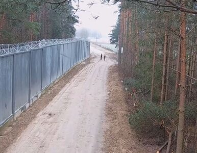 Migranci zaatakowali polski patrol. Pojawiło się nagranie