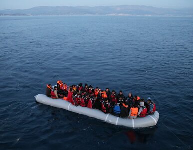 Miniatura: Migranci porwali statek i płynęli w stronę...