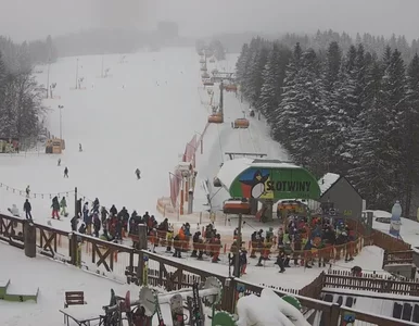 Miniatura: Tłumy narciarzy i snowboardzistów na...