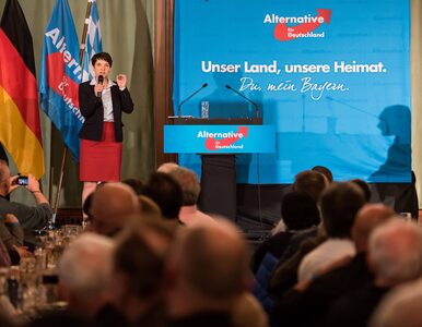 Miniatura: "Wisienka na torcie". AfD zapowiada...