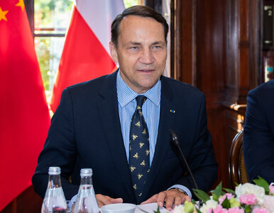 Miniatura: Zwrócił Sikorskiemu uwagę na cenę krawatu....