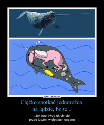 Mem z kłem narwala 