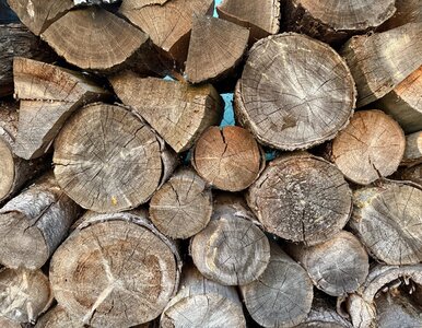 Miniatura: Ile drewna spali Twój dom w zimie?...