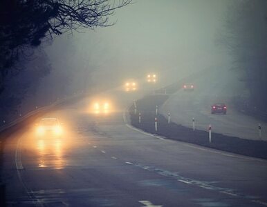 Miniatura: Gęste mgły i widoczność do 100 m. IMGW...
