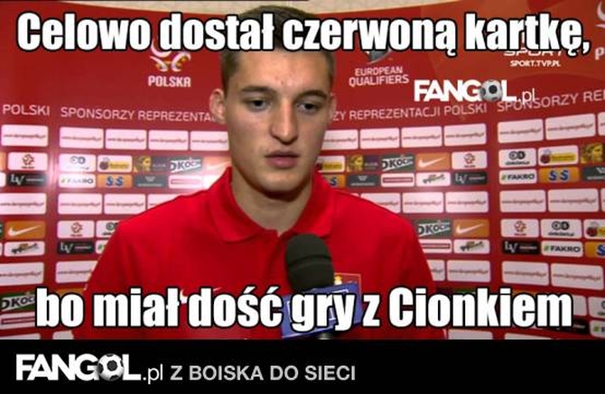 fot. fangol.pl