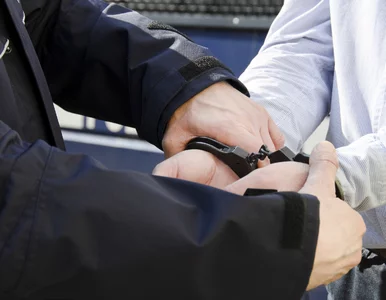 Miniatura: Szukała go policja. Ukrył się... w...