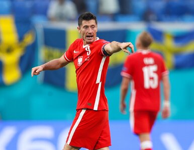 Miniatura: Robert Lewandowski nie szczędził mu...