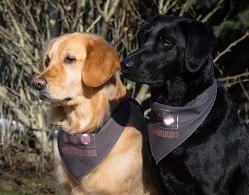 Podopieczni Country Inn Working Service Dogs 