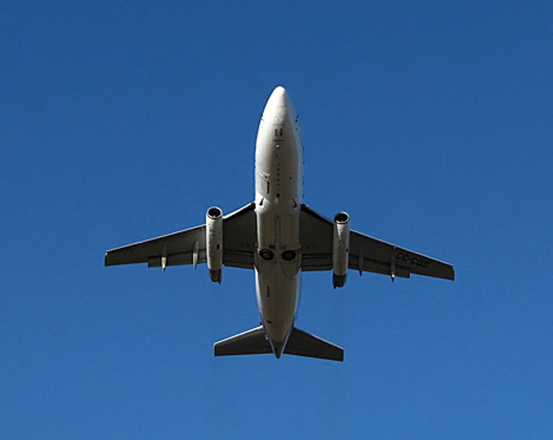 Miniatura: Zostawili szefową parlamentu na płycie i...