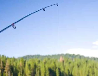 Miniatura: Robaki z... automatu