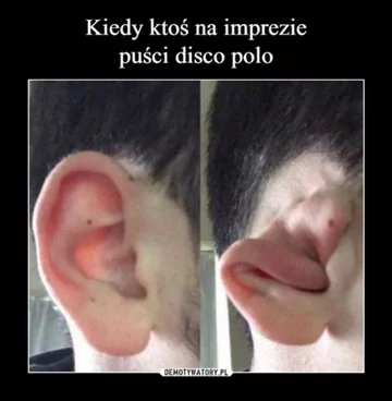 Memy związane z disco polo 