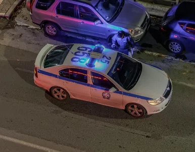 Miniatura: Makabryczne odkrycie w Grecji. Odnaleziono...