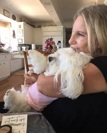 Psy Barbry Streisand 