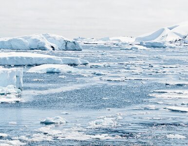Miniatura: Na Antarktydzie cieplej, niż w Grecji....