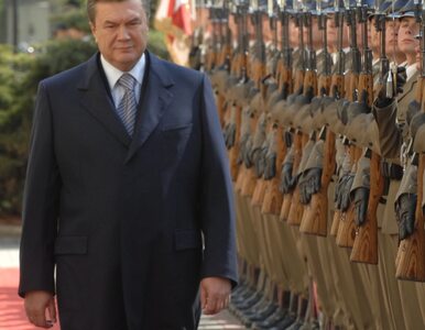 Miniatura: Janukowycz zapomniał o pięciu milionach...