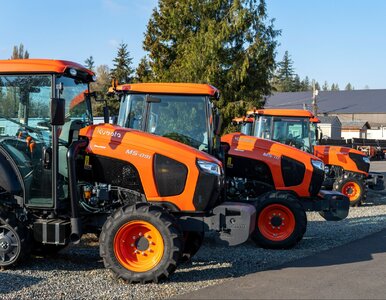 Miniatura: Słynna firma przenosi produkcję z Niemiec...