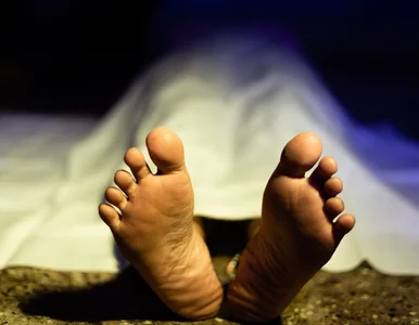 Miniatura: Fale gamma w mózgu po śmierci....