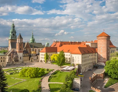 Miniatura: Quiz z wiedzy ogólnej. Prawda czy fałsz?