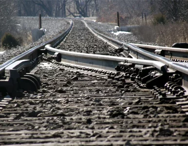 Miniatura: To nie żart! W pociągach torebki zamiast...