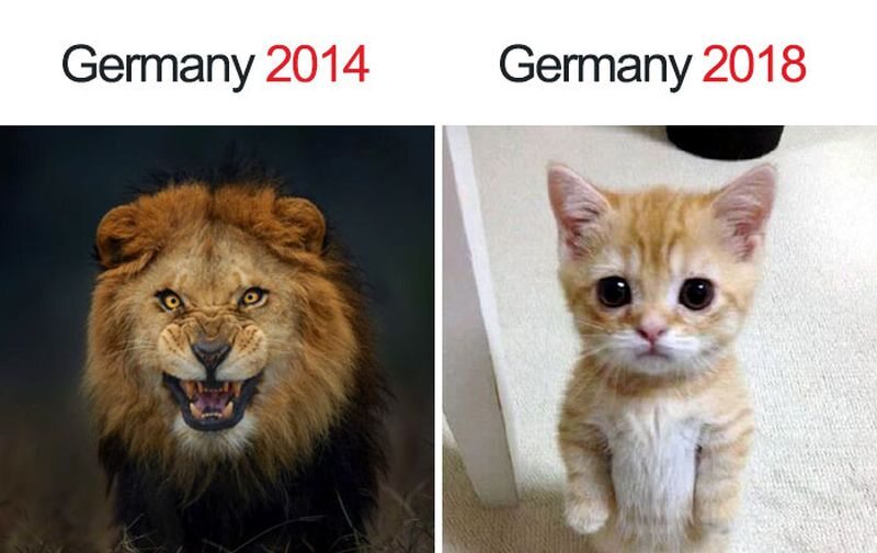 Niemcy na mundialu w 2014 i 2018 roku 