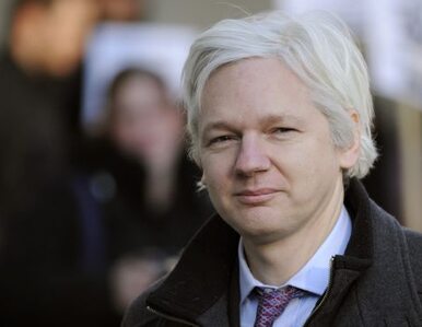 Miniatura: Matka Assange'a błaga o azyl dla syna....
