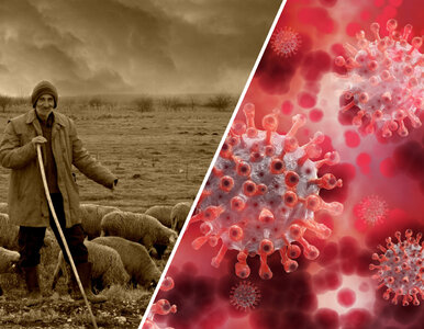 Miniatura: To wtedy powstały choroby odzwierzęce?...