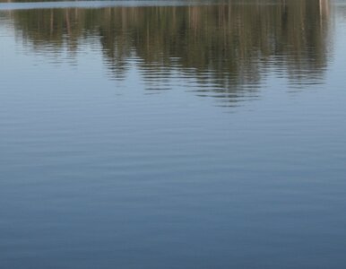 Miniatura: Noga znaleziona nad Wisłą okazała się ......