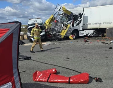 Miniatura: Tragedia na autostradzie A1, zginęły...