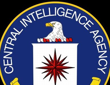 Miniatura: CIA torturowała więźnia wiertarką w tajnym...