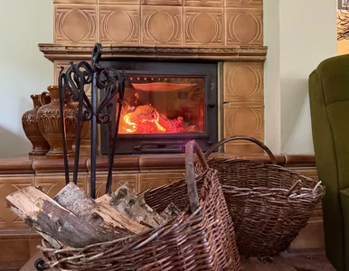 Miniatura: Wygląda jak zwykłe drewno. Eksperci mówią:...