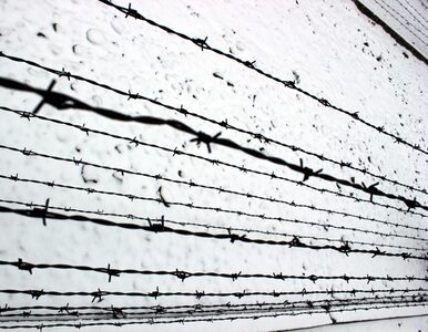 Miniatura: "Zniknęło" tysiące więźniów z obozu Kim...