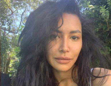 Miniatura: Trwają poszukiwania gwiazdy serialu...