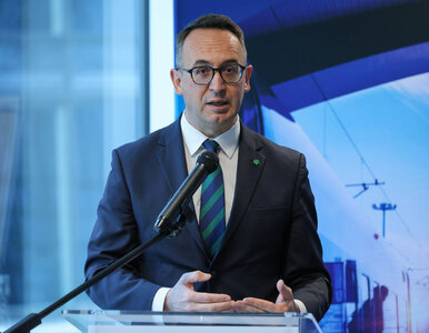 Miniatura: Nowa nazwa CPK po aferze. Minister nie ma...