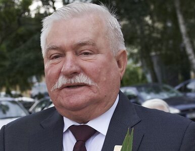 Miniatura: Wałęsa chce chipować polityków