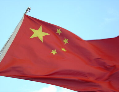 Miniatura: Chiny nie odpuszczają niewidomemu prawnikowi