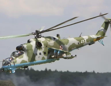 Miniatura: „WSJ” nieoficjalnie: Polska przekazała...