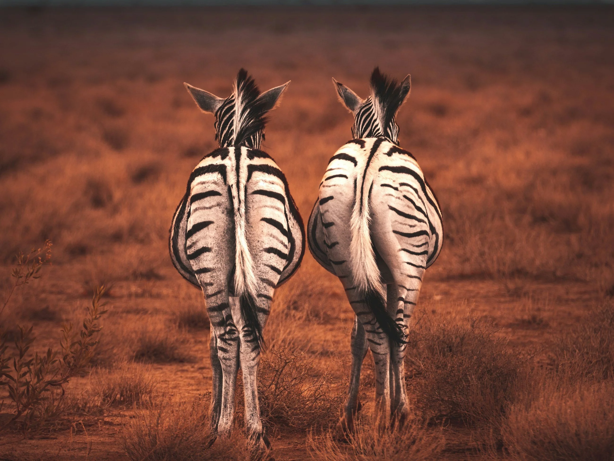 Trudny QUIZ, w którym musisz połączyć pary