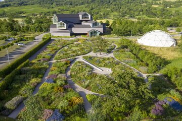 Naturalistyczny ogród Pieta Oudolfa na Vitra Campus w Weil am Rhein – przykład harmonii między dzikością a precyzyjnym projektowaniem 