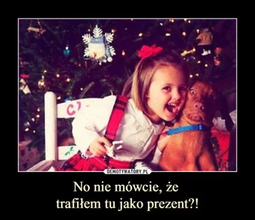 Mem na Wigilię 