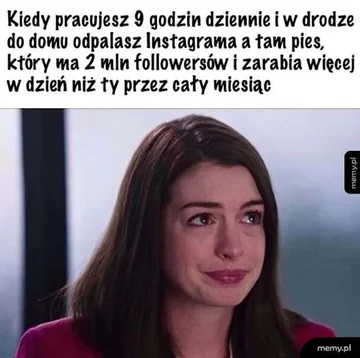 Praca, praca i jeszcze raz praca. Internauci tworzą MEMY 